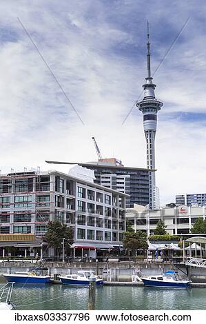 Stock Photograph - "Harbour, skyline and Skytower, Auckland, Auckland Region, New Zealand, Oceania". Fotosearch