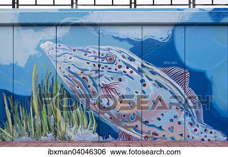"Harbour wall with paintings of marine animals, Los Cristianos, Tenerife, Canary Islands, Spain, Europe" View Large Photo Image Stock Photograph - "Harbour wall with paintings of marine animals, Los Cristianos, Tenerife, Canary Islands, Spain, Europe". Fotosearch