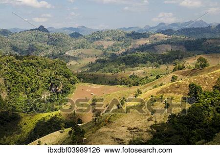 "Harvested fields, mountains, province of Mae Hong Song, Northern Thailand, Thailand, Asia" View Large Photo Image Stock Photograph - "Harvested fields, mountains, province of Mae Hong Song, Northern Thailand, Thailand, Asia". Fotosearch