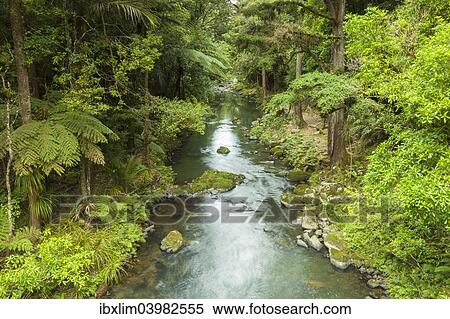 "Hatea River, the river just below Whangerai Falls. Whangerei, Northland, North Island, New Zealand, Oceania" View Large Photo Image Stock Photography - "Hatea River, the river just below Whangerai Falls. Whangerei, Northland, North Island, New Zealand, Oceania". Fotosearch