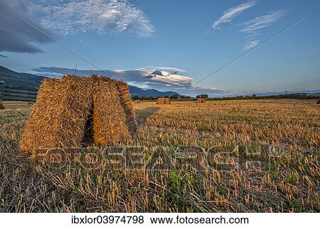 "Hay bales in the fields, Gubbio, Umbria, Italy, Europe" View Large Photo Image Stock Photo - "Hay bales in the fields, Gubbio, Umbria, Italy, Europe". Fotosearch