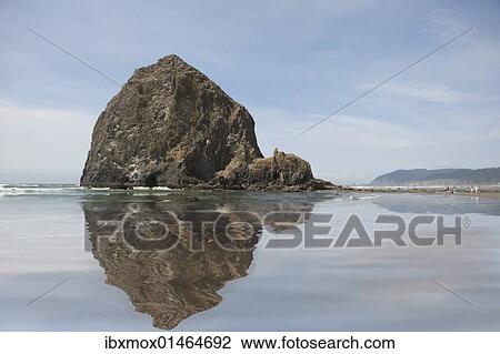 "Haystack Rock at Cannon Beach, Clatsop County, Oregon, USA" View Large Photo Image Stock Image - "Haystack Rock at Cannon Beach, Clatsop County, Oregon, USA". Fotosearch