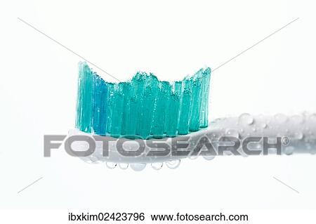 "Head of a toothbrush, electric toothbrush" View Large Photo Image Stock Photograph - "Head of a toothbrush, electric toothbrush". Fotosearch