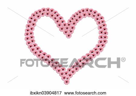"Heart, make of pink gerbera flowers" View Large Photo Image Stock Photo - "Heart, make of pink gerbera flowers". Fotosearch
