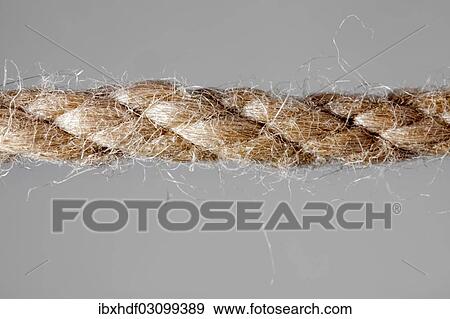 Hemp rope View Large Photo Image Stock Photo - Hemp rope. Fotosearch