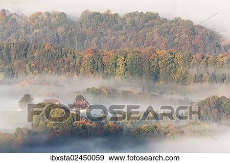 "High fog in autumn at Rorschacherberg, Lake Constance, Switzerland, Europe" View Large Photo Image Stock Photo - "High fog in autumn at Rorschacherberg, Lake Constance, Switzerland, Europe". Fotosearch