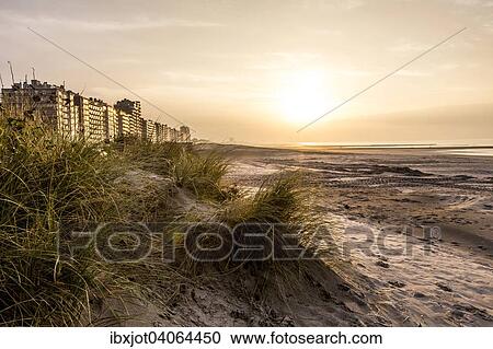 "High-rise buildings on the beach in the coastal town of Nieuwpoort, Flanders, Belgium, Europe" View Large Photo Image Stock Image - "High-rise buildings on the beach in the coastal town of Nieuwpoort, Flanders, Belgium, Europe". Fotosearch