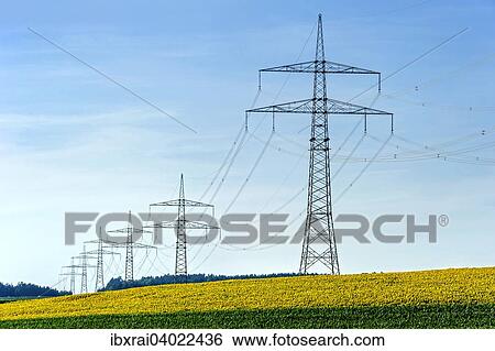 "High voltage line through a field of sunflowers, Altomunster, Upper Bavaria, Bavaria, Germany, Europe" View Large Photo Image Stock Photograph - "High voltage line through a field of sunflowers, Altomunster, Upper Bavaria, Bavaria, Germany, Europe". Fotosearch