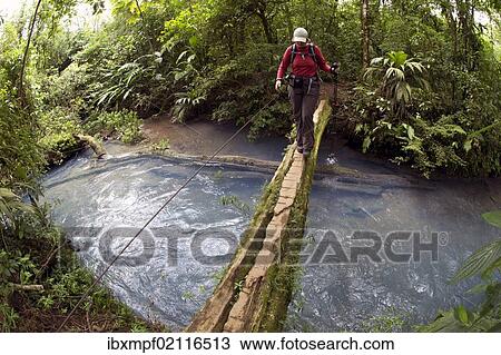 "Hiker crossing the Rio Celeste on a wooden bridge, Tenorio National Park, Guanacaste, Costa Rica, Central America, North America" View Large Photo Image Stock Image - "Hiker crossing the Rio Celeste on a wooden bridge, Tenorio National Park, Guanacaste, Costa Rica, Central America, North America". Fotosearch