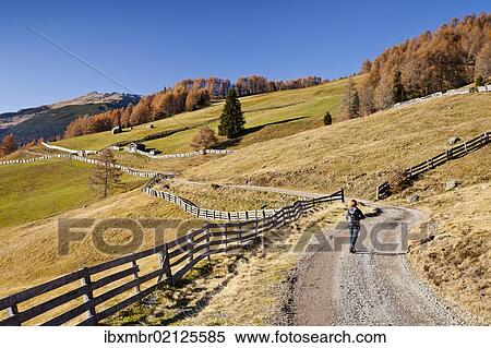 "Hiker during the descent from the Gedrumalm alpine pastures in the Gedrum Valley above Reinswald in the Sarn Valley, Alto Adige, Italy, Europe" View Large Photo Image Stock Photography - "Hiker during the descent from the Gedrumalm alpine pastures in the Gedrum Valley above Reinswald in the Sarn Valley, Alto Adige, Italy, Europe". Fotosearch