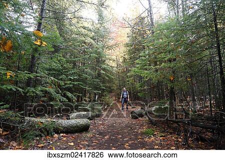 "Hiker in the Adirondacks, Upstate New York, USA" View Large Photo Image Stock Photograph - "Hiker in the Adirondacks, Upstate New York, USA". Fotosearch