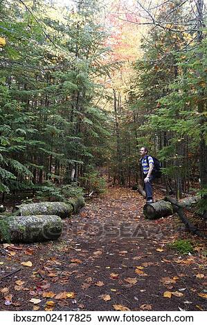 "Hiker in the Adirondacks, Upstate New York, USA" View Large Photo Image Stock Photography - "Hiker in the Adirondacks, Upstate New York, USA". Fotosearch