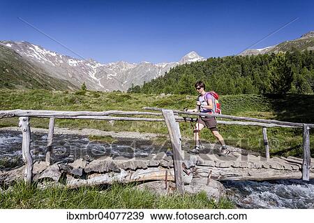 "Hiker on the ascent on the Kortscher Schafsberg in Schnals, here in the Lagauntal valley, behind the Saldurspitz, Schnalstal, Meranerland, Province of South Tyrol, region of Trentino-Alto Adige, Italy, Europe" View Large Photo Image Stock Photo - "Hiker on the ascent on the Kortscher Schafsberg in Schnals, here in the Lagauntal valley, behind the Saldurspitz, Schnalstal, Meranerland, Province of South Tyrol, region of Trentino-Alto Adige, Italy, Europe". Fotosearch