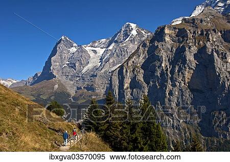 "Hikers at the foot of Eiger and Moench Mountains and Eiger glacier, Murren, Bernese Oberland, Canton of Bern, Switzerland, Europe" View Large Photo Image Stock Photography - "Hikers at the foot of Eiger and Moench Mountains and Eiger glacier, Murren, Bernese Oberland, Canton of Bern, Switzerland, Europe". Fotosearch