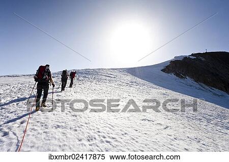 "Hikers climbing Similaun mountain, here on Niederjochferner mountain in the Schnalstal valley, Similaun mountain at the back, province of Bolzano-Bozen, Italy, Europe" View Large Photo Image Stock Photography - "Hikers climbing Similaun mountain, here on Niederjochferner mountain in the Schnalstal valley, Similaun mountain at the back, province of Bolzano-Bozen, Italy, Europe". Fotosearch