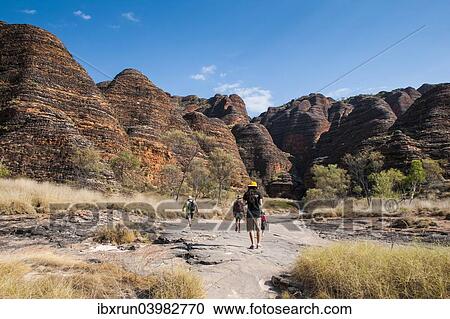 "Hikers in front of the Bungle Bungles, beehive-shaped sandstone towers, Purnululu National Park, UNESCO World Heritage Site, Eastern Kimberleys, Western Australia" View Large Photo Image Stock Image - "Hikers in front of the Bungle Bungles, beehive-shaped sandstone towers, Purnululu National Park, UNESCO World Heritage Site, Eastern Kimberleys, Western Australia". Fotosearch