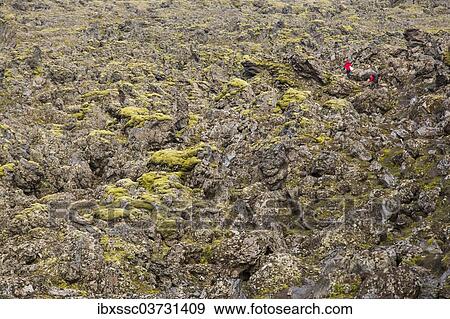 "Hikers in the Landmannalaugar region, Landmannalaugar, Southern Region, Iceland, Europe" View Large Photo Image Stock Photo - "Hikers in the Landmannalaugar region, Landmannalaugar, Southern Region, Iceland, Europe". Fotosearch