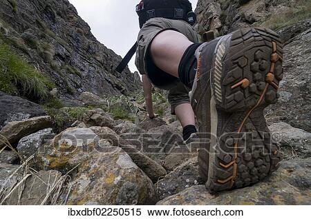"Hiking boot, woman climbing on a hiking tail, Sentinel Hiking Trail, Drakensberg Mountains, KwaZulu-Natal, South Africa, Africa" View Large Photo Image Stock Photography - "Hiking boot, woman climbing on a hiking tail, Sentinel Hiking Trail, Drakensberg Mountains, KwaZulu-Natal, South Africa, Africa". Fotosearch
