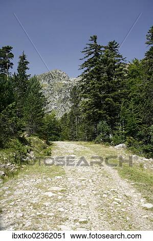 "Hiking path in the Pyrenees, French Pyrenees, national park near Argeles-Gazost, Midi-Pyrenees region, Hautes-Pyrenees departement, France, Europe" View Large Photo Image Stock Image - "Hiking path in the Pyrenees, French Pyrenees, national park near Argeles-Gazost, Midi-Pyrenees region, Hautes-Pyrenees departement, France, Europe". Fotosearch