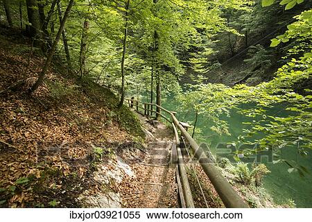 "Hiking trail in Mendlingtal valley, Mendlingbach stream, Gostling an der Ybbs, Lower Austria, Austria, Europe" View Large Photo Image Stock Photography - "Hiking trail in Mendlingtal valley, Mendlingbach stream, Gostling an der Ybbs, Lower Austria, Austria, Europe". Fotosearch