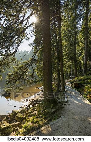 Stock Photo - "Hiking trail, Mummelsee lake near Seebach, Northern Black Forest, Black Forest, Baden-Wurttemberg, Germany, Europe". Fotosearch