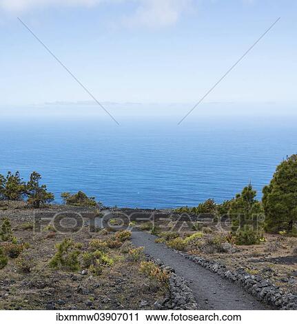 Stock Image - "Hiking trail through a lava landscape, Southern Cape, Punta de Fuencaliente, La Palma, Canary Islands, Spain, Europe". Fotosearch