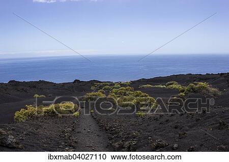 "Hiking trail through lava landscape, Monumento Natural de Los Volcanes de Teneguia Park, Southern Cape Punta de Fuencaliente, La Palma, Canary Islands, Spain, Europe" View Large Photo Image Stock Image - "Hiking trail through lava landscape, Monumento Natural de Los Volcanes de Teneguia Park, Southern Cape Punta de Fuencaliente, La Palma, Canary Islands, Spain, Europe". Fotosearch