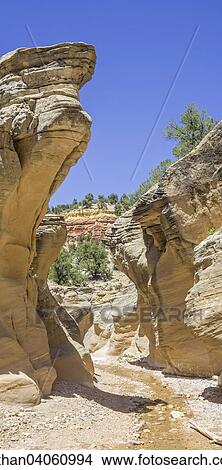 "Hiking trail through Willis Creek Canyon, Kanab, Utah, United States, North America" View Large Photo Image Picture - "Hiking trail through Willis Creek Canyon, Kanab, Utah, United States, North America". Fotosearch