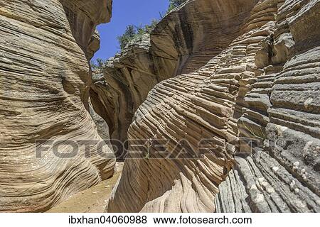 "Hiking trail through Willis Creek Canyon, Kanab, Utah, United States, North America" View Large Photo Image Stock Photo - "Hiking trail through Willis Creek Canyon, Kanab, Utah, United States, North America". Fotosearch