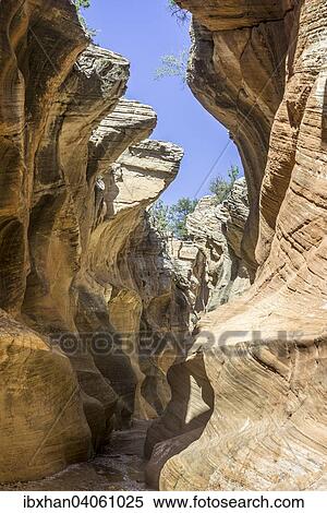 Stock Photography - "Hiking trail through Willis Creek Canyon, Kanab, Utah, United States, North America". Fotosearch