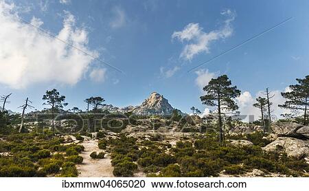 "Hiking trail to Piscia di Gallo, mountain landscape with Punta di u Diamante, Punta del Diamante, L'Ospedale, Alta Rocca, Corsica, France, Europe" View Large Photo Image Stock Image - "Hiking trail to Piscia di Gallo, mountain landscape with Punta di u Diamante, Punta del Diamante, L'Ospedale, Alta Rocca, Corsica, France, Europe". Fotosearch