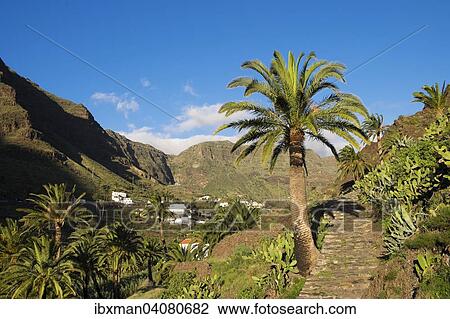 "Hiking trail, village of Los Granados, Valle Gran Rey, La Gomera, Canary Islands, Spain, Europe" View Large Photo Image Stock Image - "Hiking trail, village of Los Granados, Valle Gran Rey, La Gomera, Canary Islands, Spain, Europe". Fotosearch
