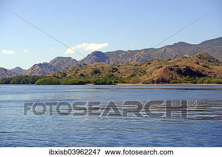 "Hills and grassland of Rinca Island, Komodo National Park, UNESCO World Heritage Site, Indonesia, Asia" View Large Photo Image Stock Photo - "Hills and grassland of Rinca Island, Komodo National Park, UNESCO World Heritage Site, Indonesia, Asia". Fotosearch