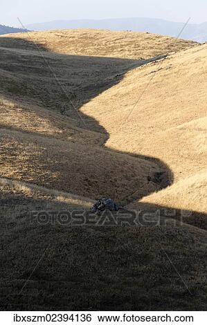 "Hills in the evening light, Bakersfield, California, USA" View Large Photo Image Stock Photograph - "Hills in the evening light, Bakersfield, California, USA". Fotosearch