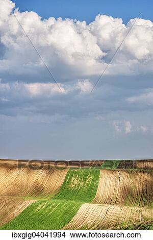 "Hilly fields, Hovorany, Hodonin district, Jihomoravsky county, Czech Republic, Europe" View Large Photo Image Picture - "Hilly fields, Hovorany, Hodonin district, Jihomoravsky county, Czech Republic, Europe". Fotosearch