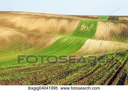 "Hilly fields, Hovorany, Hodonin district, Jihomoravsky county, Czech Republic, Europe" View Large Photo Image Stock Photography - "Hilly fields, Hovorany, Hodonin district, Jihomoravsky county, Czech Republic, Europe". Fotosearch