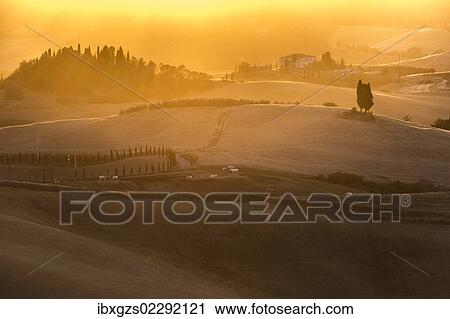Stock Image - "Hilly landscape at sunset, Villamagna, Tuscany, Italy, Europe". Fotosearch