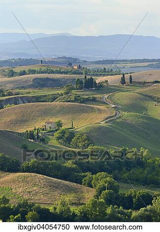 "Hilly landscape in the Crete Senesi, Province of Siena, Tuscany, Italy, Europe" View Large Photo Image Stock Image - "Hilly landscape in the Crete Senesi, Province of Siena, Tuscany, Italy, Europe". Fotosearch