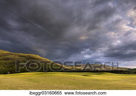 Stock Photography - "Hilly landscape, pasture, Yarrowford-Tal, Scottish Borders, Scotland, United Kingdom, Europe". Fotosearch