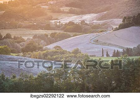 "Hilly landscape with country road at dusk, Villamagna, Tuscany, Italy, Europe" View Large Photo Image Stock Image - "Hilly landscape with country road at dusk, Villamagna, Tuscany, Italy, Europe". Fotosearch