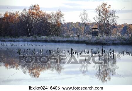 "Himmelsmoor moorland with frost, Quickborn, Schleswig-Holstein, Germany, Europe" View Large Photo Image Stock Photography - "Himmelsmoor moorland with frost, Quickborn, Schleswig-Holstein, Germany, Europe". Fotosearch