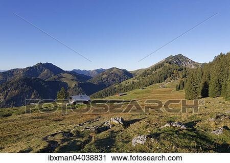 "Himmelsmoos-Alm, mountain pasture on Mt Brunnstein, mountains Trainsjoch, left, and Grosser Traithen, right, Mangfall Mountains, Upper Bavaria, Bavaria, Germany, Europe" View Large Photo Image Stock Image - "Himmelsmoos-Alm, mountain pasture on Mt Brunnstein, mountains Trainsjoch, left, and Grosser Traithen, right, Mangfall Mountains, Upper Bavaria, Bavaria, Germany, Europe". Fotosearch