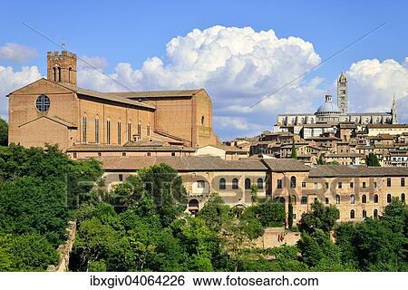 "Historic centre with the Basilica of San Domenico and the Duomo of Siena, Cattedrale di Santa Maria Assunta, Siena, Province of Siena, Tuscany, Italy, Europe" View Large Photo Image Stock Photograph - "Historic centre with the Basilica of San Domenico and the Duomo of Siena, Cattedrale di Santa Maria Assunta, Siena, Province of Siena, Tuscany, Italy, Europe". Fotosearch