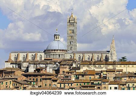 "Historic centre with the cathedral of Siena, Cattedrale di Santa Maria Assunta, Siena, Province of Siena, Tuscany, Italy, Europe" View Large Photo Image Stock Photo - "Historic centre with the cathedral of Siena, Cattedrale di Santa Maria Assunta, Siena, Province of Siena, Tuscany, Italy, Europe". Fotosearch