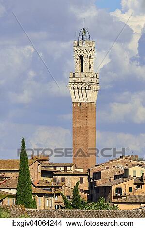 "Historic centre with the Torre del Mangia tower, Siena, Province of Siena, Tuscany, Italy, Europe" View Large Photo Image Picture - "Historic centre with the Torre del Mangia tower, Siena, Province of Siena, Tuscany, Italy, Europe". Fotosearch