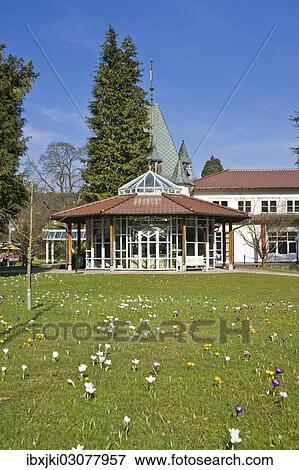 "Historic Kurhaus with a pavilion and crocuses in the lawn, Schwarzwald, Bad Herrenalb, Baden-Wurttemberg, Germany, Europe" View Large Photo Image Stock Photo - "Historic Kurhaus with a pavilion and crocuses in the lawn, Schwarzwald, Bad Herrenalb, Baden-Wurttemberg, Germany, Europe". Fotosearch