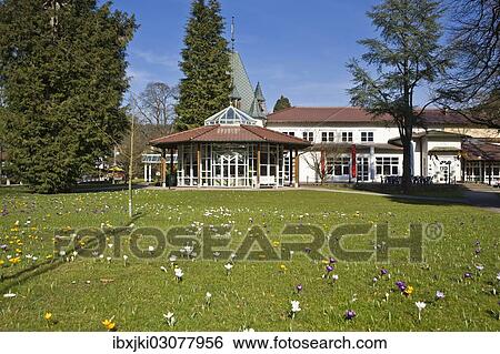 Stock Photograph - "Historic Kurhaus with a pavilion and crocuses in the lawn, Schwarzwald, Bad Herrenalb, Baden-Wurttemberg, Germany, Europe". Fotosearch