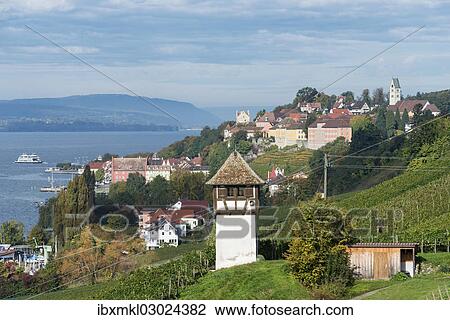 "Historic Rebgut Haltnau vineyard on Lake Constance, with the town of Meersburg am Bodensee on the right, Langenargen, Baden-Wurttemberg, Germany, Europe" View Large Photo Image Stock Image - "Historic Rebgut Haltnau vineyard on Lake Constance, with the town of Meersburg am Bodensee on the right, Langenargen, Baden-Wurttemberg, Germany, Europe". Fotosearch