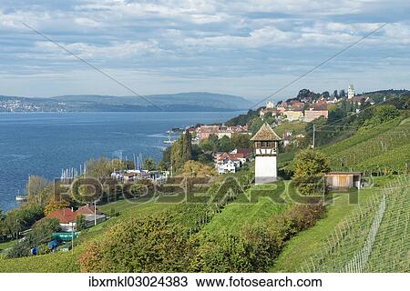 "Historic Rebgut Haltnau vineyard on Lake Constance, with the town of Meersburg am Bodensee on the right, Lake Constance, Meersburg, Baden-Wurttemberg, Germany, Europe" View Large Photo Image Stock Image - "Historic Rebgut Haltnau vineyard on Lake Constance, with the town of Meersburg am Bodensee on the right, Lake Constance, Meersburg, Baden-Wurttemberg, Germany, Europe". Fotosearch