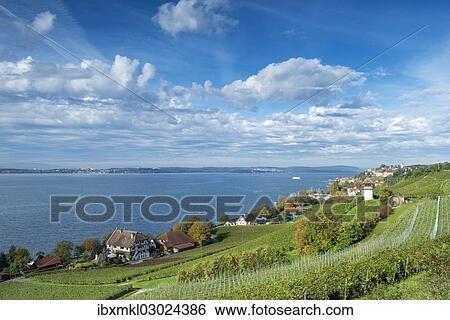 "Historic Rebgut Haltnau vineyard on Lake Constance, with the town of Meersburg am Bodensee on the right, Lake Constance, Meersburg, Baden-Wurttemberg, Germany, Europe" View Large Photo Image Stock Photograph - "Historic Rebgut Haltnau vineyard on Lake Constance, with the town of Meersburg am Bodensee on the right, Lake Constance, Meersburg, Baden-Wurttemberg, Germany, Europe". Fotosearch